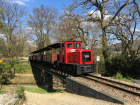 Fünf braune Wagen werden aus dem Bahnhof Baumschulsee gezogen [16. April 2021]