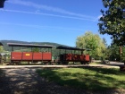 Morgenstimmung im Bahnhof Baumschulsee [11. August 2019]