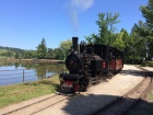 Im Bahnhof Baumschulsee hat sich die Pinus vor ihren Zug gesetzt [11. August 2019]