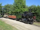 Der Güterzug ist wieder im Bahnhof Baumschulsee eingetroffen [21. Juni 2014]