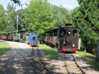 Taxus und Abelia rangieren gemeinsam im Bahnhof Baumschulsee [2. August 2014]