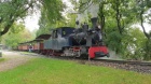 Die Sequoia stellt im Bahnhof Baumschulsee ihren Zug bereit [5. Oktober 2019]