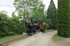 Ausfahrt aus dem Bahnhof Baumschulsee in Richtung Feld [21. Juni 2013]