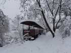 Die acht auf der Bachstrecke abgestellten Wagen sind vom Schnee eingeschlossen [16. Januar 2021]