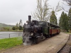 Die Molly steht mit dem ersten Zug der Saison im Bahnhof Baumschulsee [16. April 2016]