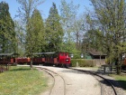 Der Bahnhof Baumschulsee wird durchfahren [20. April 2019]