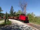 Die Opalinus fährt mit ihrem Zug in den Bahnhof Baumschulsee ein [20. April 2019]