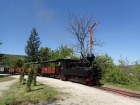 Einfahrt in den Bahnhof Baumschulsee [6. Mai 2016]