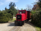 Die Opalinus fährt mit dem Wagen durch den Baumschulpark [8. Mai 2021]