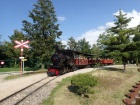 Ausfahrt aus dem Bahnhof Baumschulsee [1. Juni 2018]