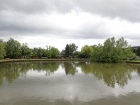 Der Baumschulsee weist nach dem Regen einen recht hohen Pegelstand auf [12. Juni 2016]