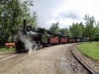 Die Molly wartet im Bahnhof Baumschulsee auf die Weiterfahrt [12. Juni 2016]