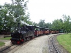 Zwischenhalt im Bahnhof Baumschulsee [2. Juli 2016]