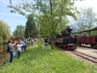 Die Teilnehmer der Fahrt fotografieren die Taxus im Bahnhof Baumschulsee [3. Juli 2021]