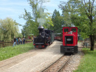 Die beiden Züge präsentieren sich nebeneinander im Bahnhof Baumschulsee [3. Juli 2021]