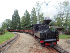 Zwischenhalt im Bahnhof Baumschulsee [3. Juli 2021]