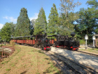 Die Pinus hat im Bahnhof Baumschulsee die Ankunft der Taxus abgewartet [5. September 2021]