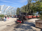 Bei schönstem Sonnenschein wartet die Pinus im Hauptbahnhof auf die Abfahrt [18. September 2021]