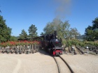 Die Baumschulbahn verkehrt mitten durch die Produktionsflächen der Rosen [21. September 2019]