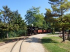 Der Dampfzug verlässt den Bahnhof Baumschulsee [21. September 2019]