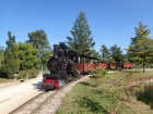 Die Fahrt geht weiter entlang vom Ufer des Baumschulsees [21. September 2019]