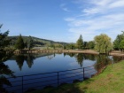 Die Landschaft spiegelt sich im Baumschulsee [22. September 2019]