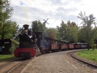 Zwischenhalt im Bahnhof Baumschulsee [22. September 2019]