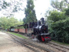 Die Pinus stellt im Bahnhof Baumschulsee ihren Zug bereit [25. September 2021]