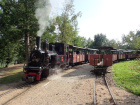 Zwischenhalt im Bahnhof Baumschulsee [25. September 2021]