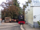 Die Sequoia fährt am Kompostplatz vorbei in Richtung Hauptbahnhof [28. September 2019]