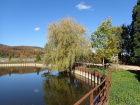 Herbststimmung am Baumschulsee [23. Oktober 2021]