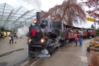 Die Molly wartet im Hauptbahnhof auf die Abfahrt [27. November 2021]