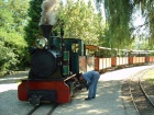 Die Sequoia mit ihrem Zug beim Zwischenhalt im Bahnhof Baumschulsee